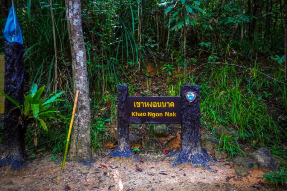 From Krabi: Khao Ngon Nak Trekking Experience - Key Points