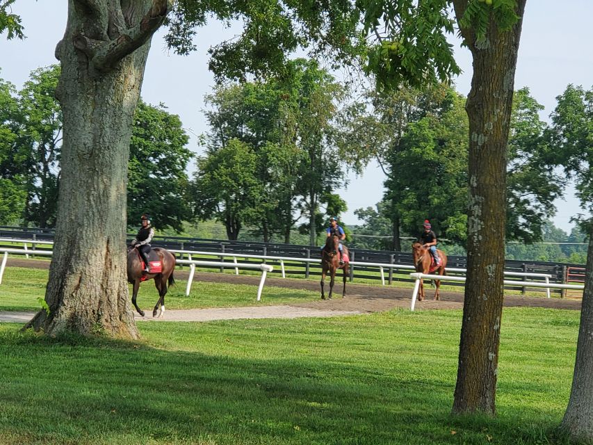 From Lexington: Kentucky Horse Farms Tour - Key Points