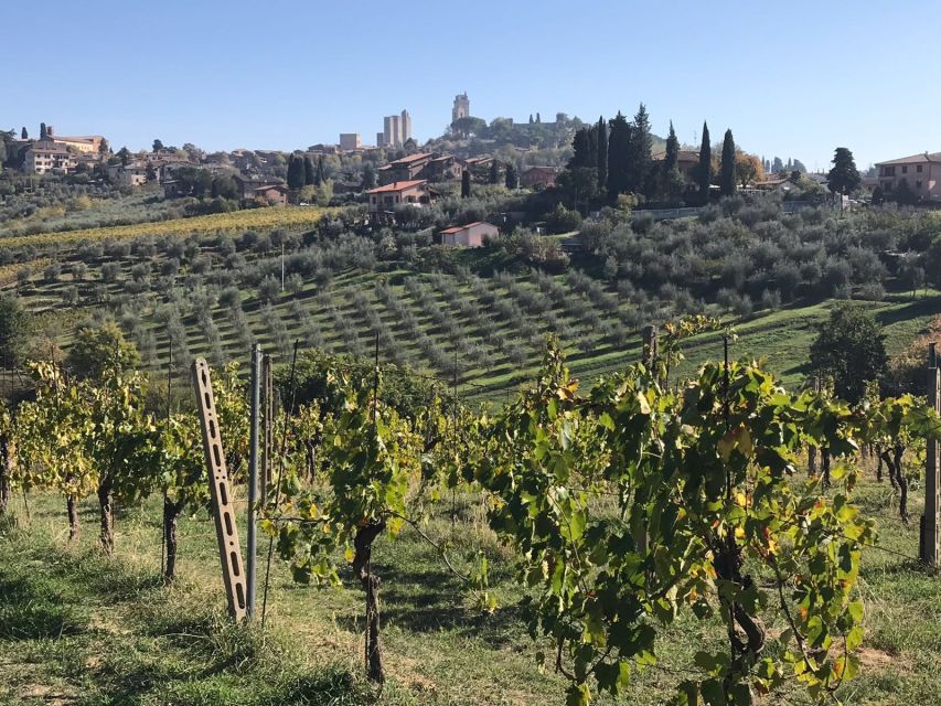 From Livorno: Shore Excursion to Chianti and San Gimignano - Key Points