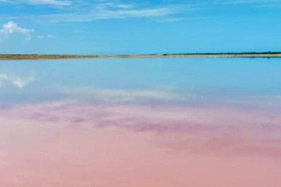 From Merida: Tour to Las Coloradas and Rio Lagartos - Key Points