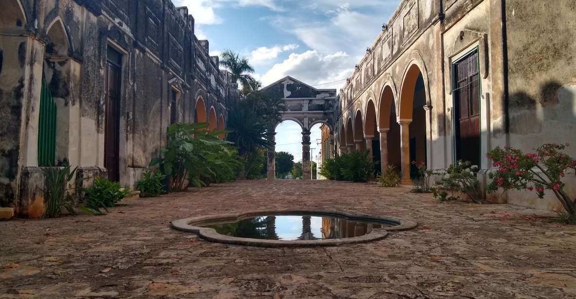 From Merida: Uxmal, Hacienda Yaxcopoil and Cenote With Lunch - Key Points