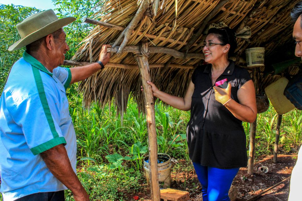 From Merida: Visit to Ek Balam Community & Cenote Tour - Key Points