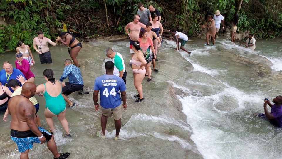 From Montego Bay: Dunn's River Falls Experience - Key Points