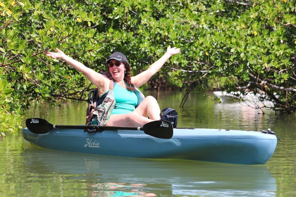 From Naples, FL: Marco Island Mangroves Kayak or Paddle Tour - Key Points