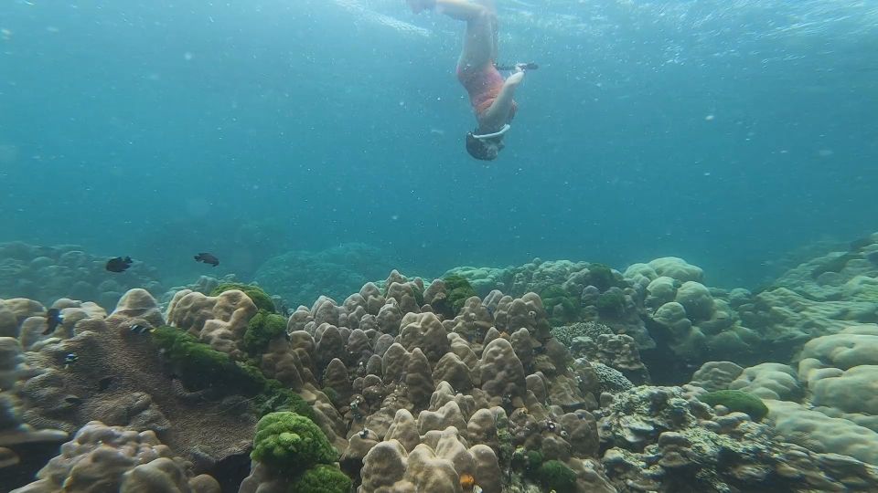 From Nassau: Eleuthera, Current, and Harbor Island Boat Tour