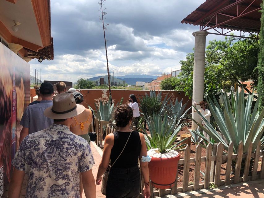 From Oaxaca: Natural and Cultural Highlights Guided Day Tour - Oaxaca Tour Overview