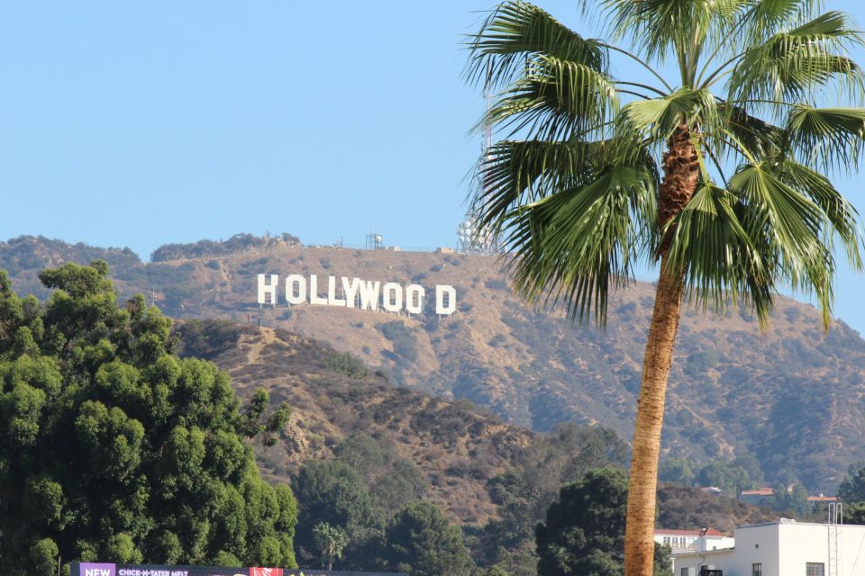 From Orange County: Hollywood and Beverly Hills Van Tour - Key Points