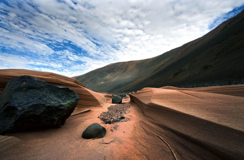 From Paracas/Ica: Canyon of the Lost Guided Day Trip - Key Points