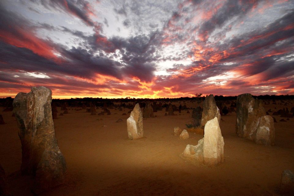 From Perth: Pinnacles Sunset and Stargazing Tour With Dinner - Key Points