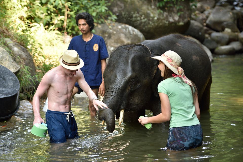 From Phuket/Khao Lak: Elephant Care Experience With Rafting