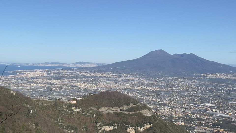 From Positano: Pompeii & Vesuvius Tour Small Group - Key Points