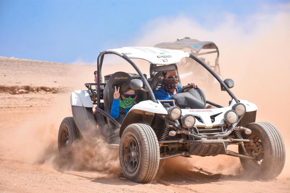 From Punta Cana: Double Buggy Excursion - Key Points