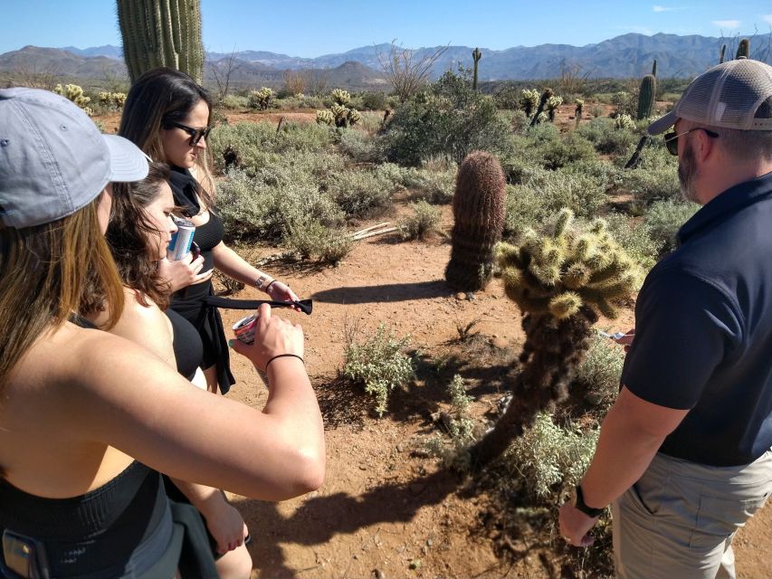 From Scottsdale: Sonoran Desert & Tonto National Forest Trip - Key Points