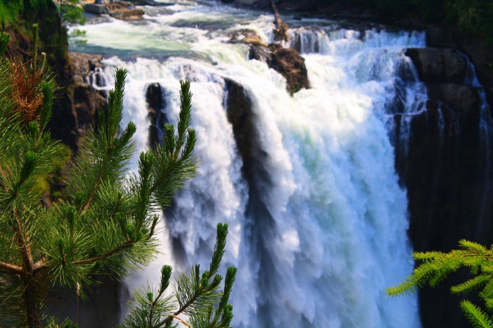 From Seattle: Snoqualmie Falls & Woodinville Wine Tasting - Key Points