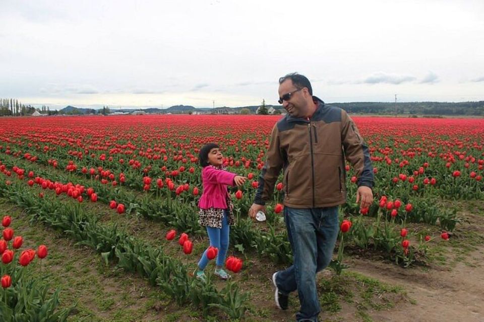 From Seattle:Tulip Festival at Skagit Valley and La Conner - Key Points