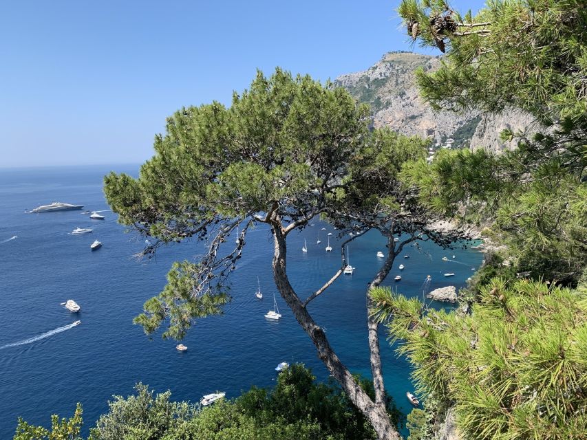 From Sorrento: Day Trip to Capri & Anacapri With Blue Grotto - Key Points