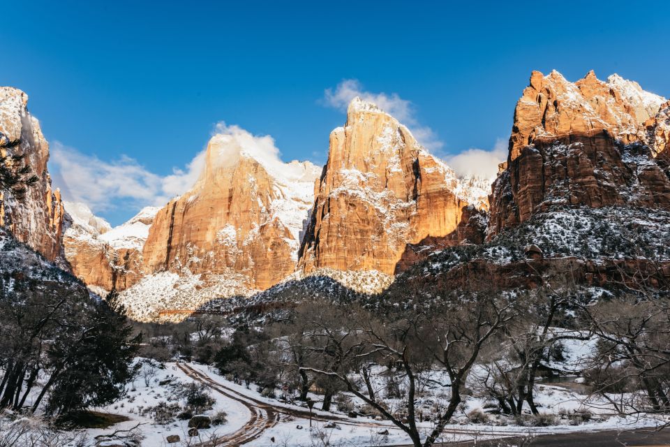 From Springdale: 4-hour Zion Canyon Scenic Hiking Tour - Key Points