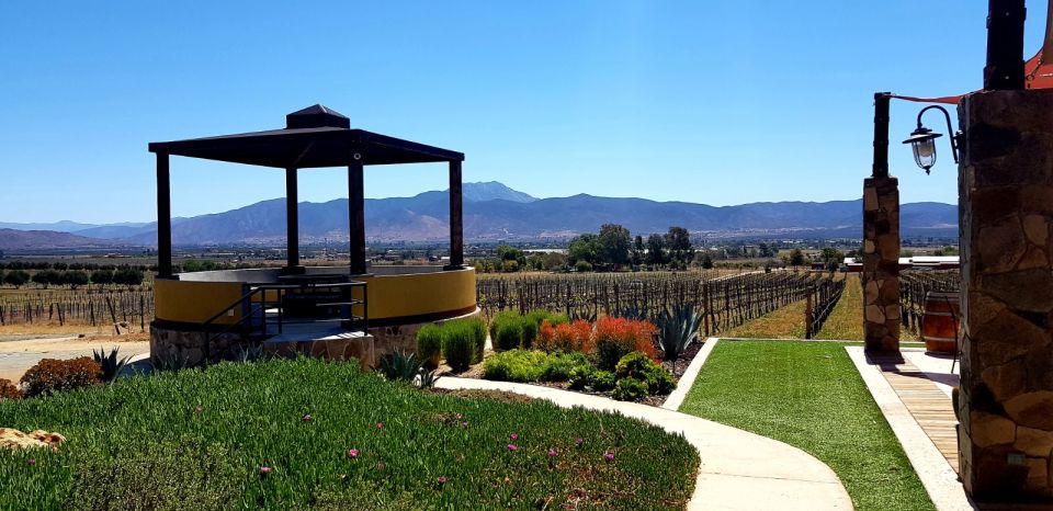 From Tijuana: Valle De Guadalupe Private Winery Tour - Key Points