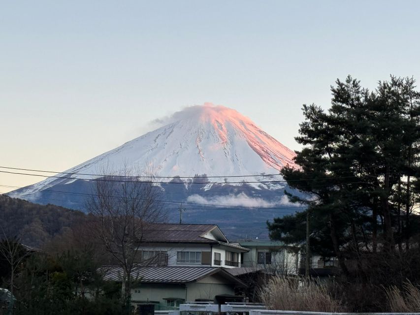 From Tokyo: Private Mount Fuji and Hakone Day Trip - Key Points