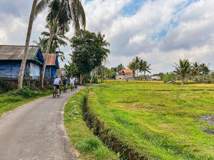 From Ubud: Downhill Bike Tour With Rice Terraces and Meal - Included Services