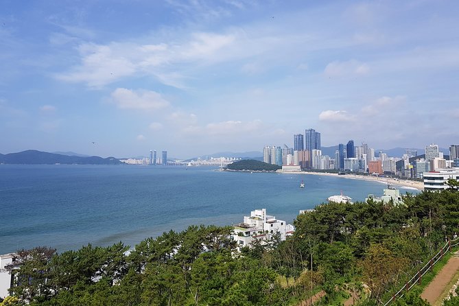 Full-Day Busan Tour Including Haedong Yonggungsa Temple - Key Points