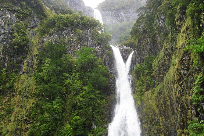 Full-Day Rabaçal Levada Walk From Funchal - Overview of the Hike