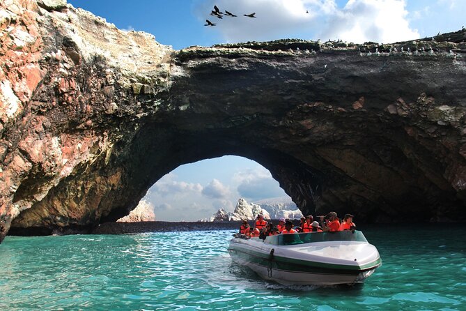 Full Day Tour From Lima: Ballestas Islands and Paracas Reserve - Tour Overview