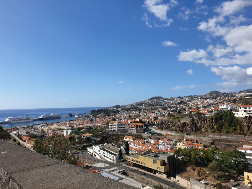 Funchal: Madeira Botanical Garden Private Tuk-Tuk Tour - Key Points