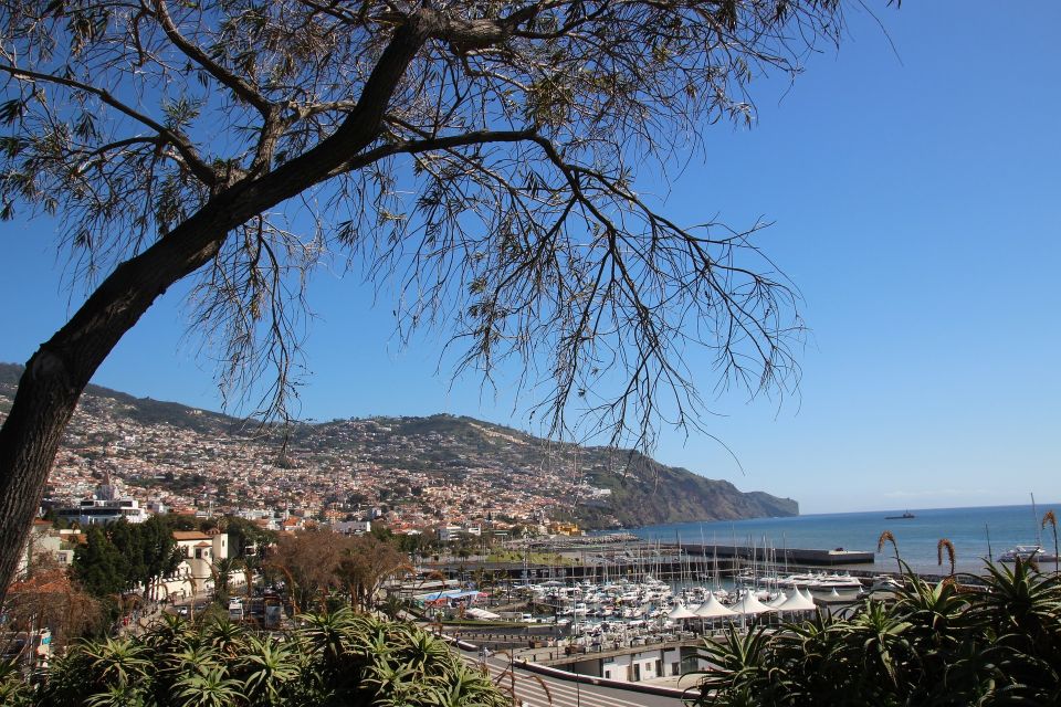 Funchal: Private Tour With a Local Guide - Key Points