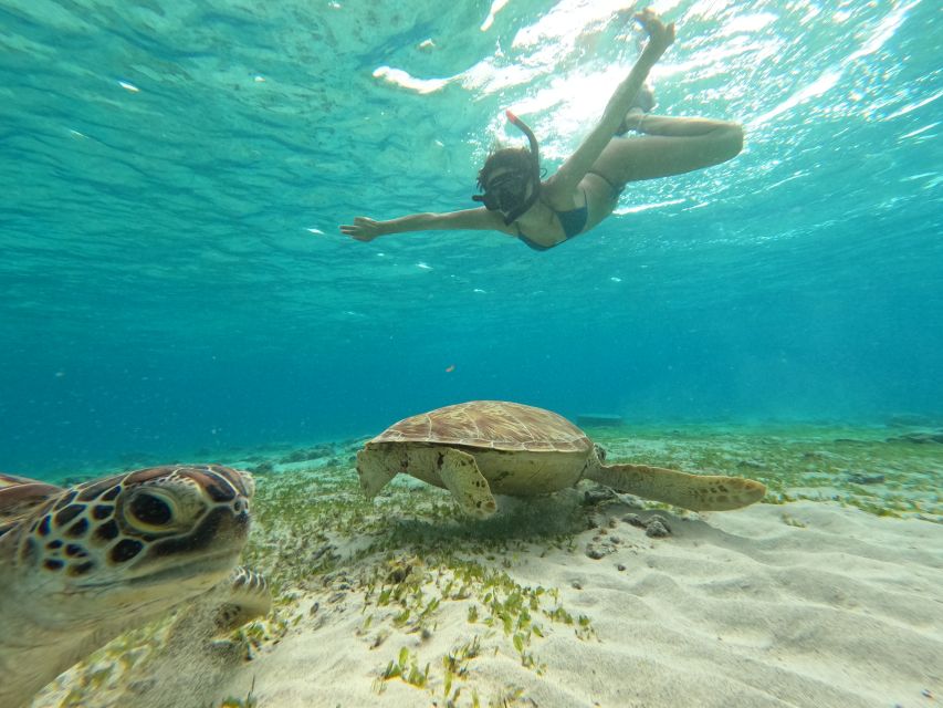 Gili Islands: 2-Hour Snorkel With Gopro Camera & Guide - Key Points