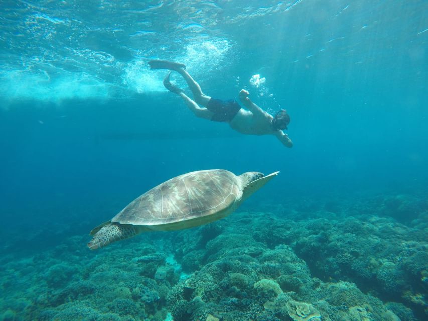 Gili Islands: 3 Islands Snorkeling Tour With Gopro - Key Points