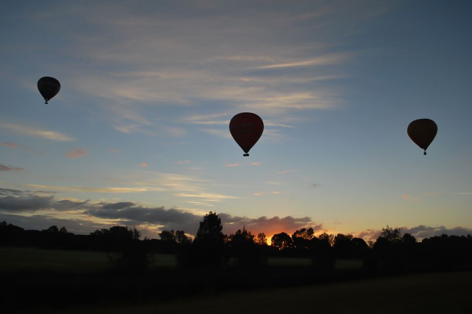 Gold Coast: Australian Sunrise 1-Hour Hot Air Balloon Flight - Key Points