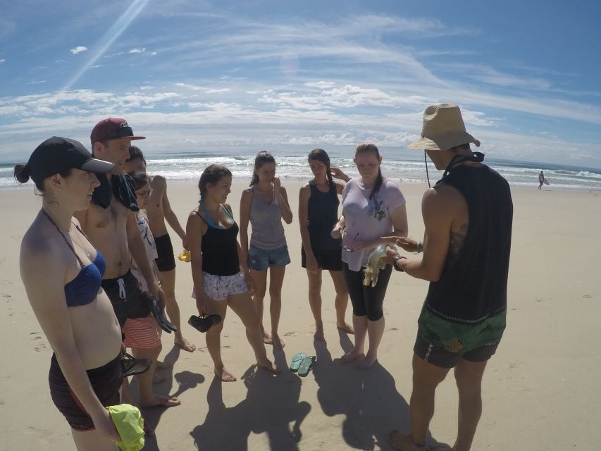 Gold Coast: Kayaking and Snorkeling Guided Tour - Key Points