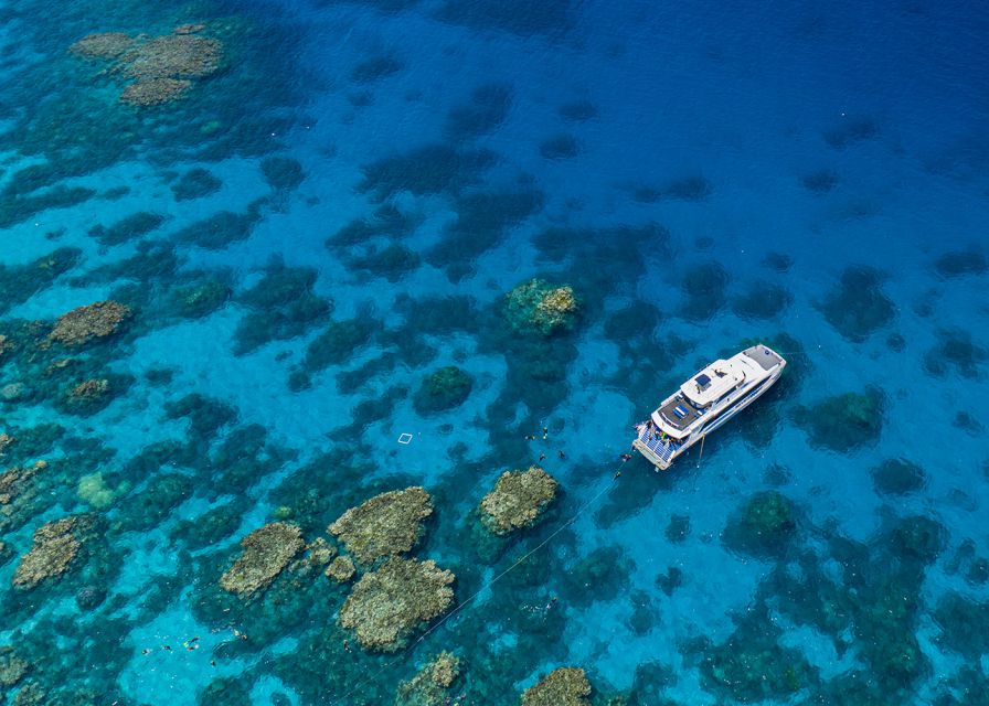 Great Barrier Reef Snorkel & Dive Full-Day Adventure - Key Points