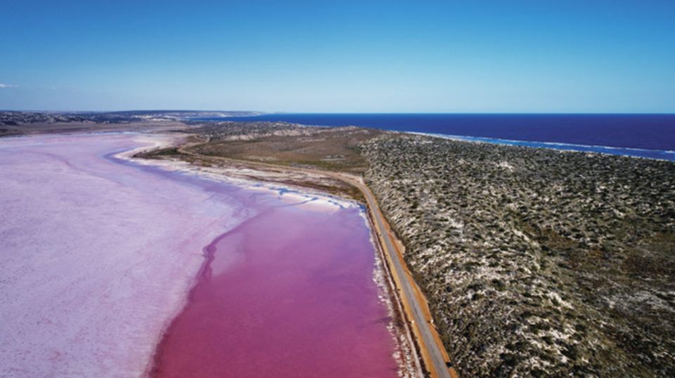 Gregory: Pink Lake Buggy Tour - Key Points