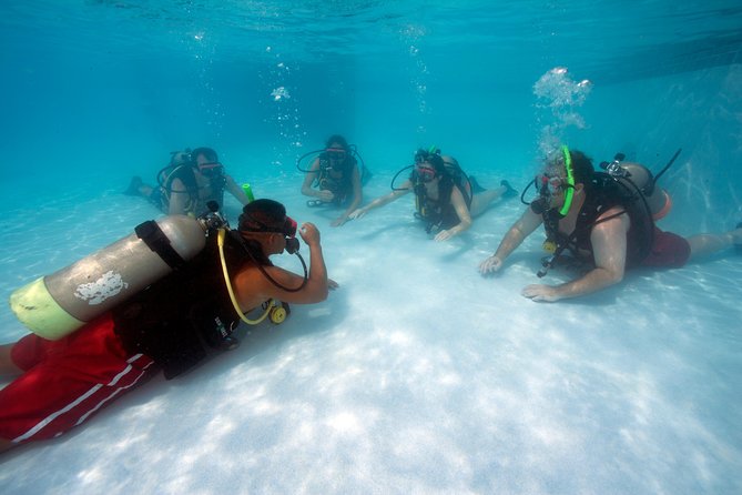 Half-Day Aruba Intro Diving Course for Beginners - What to Expect