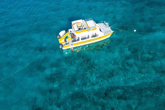 Half Day Private Boat Charter at Grace Bay, Providenciales - Overview of the Charter Experience