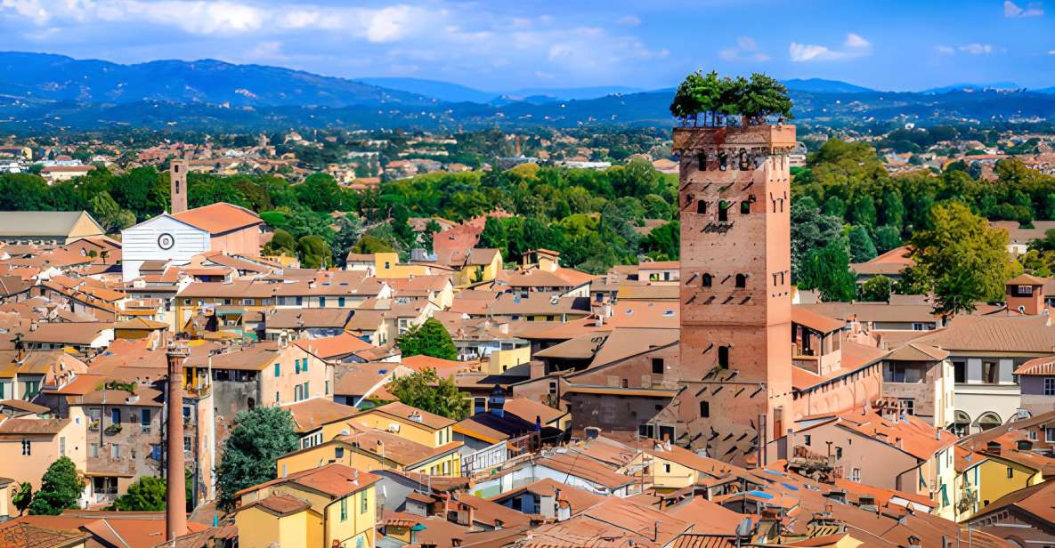 Half-Day Tour to Lucca From Florence - Key Points