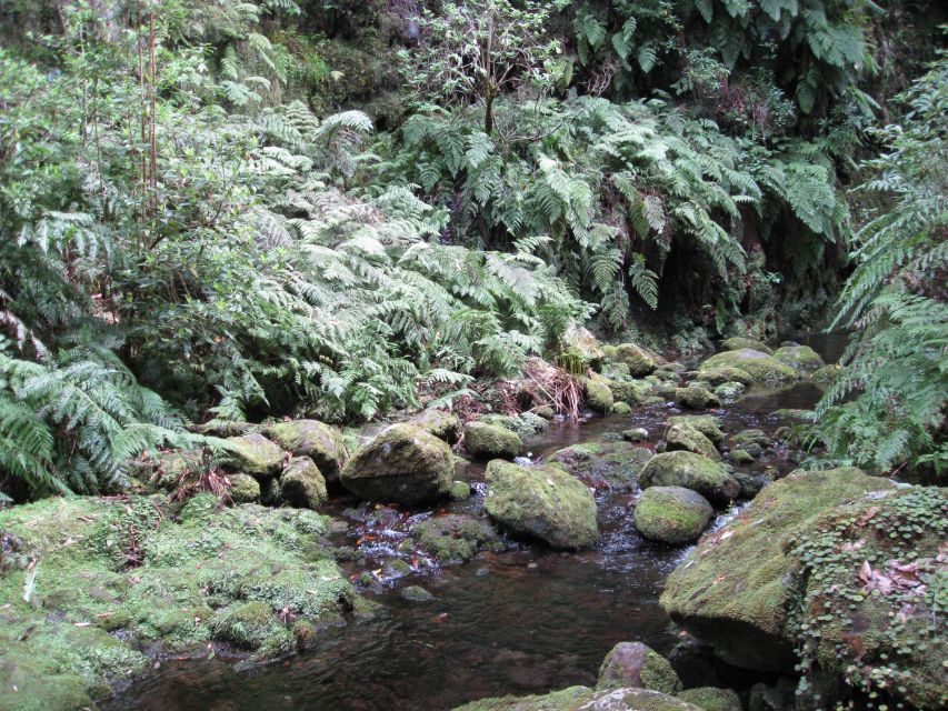 Hidden Corners, the Kings Levada Full Day Hike - Key Points