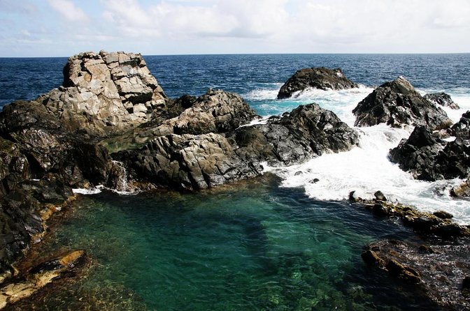 Horseback Ride Tour to Natural Pool in Arikok National Park - Key Points