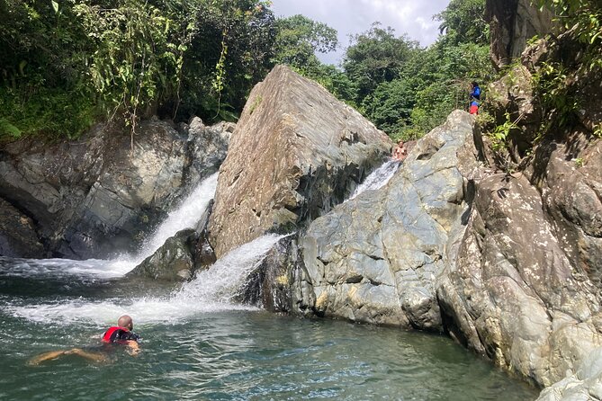 Immersive Small Group Rainforest Adventure With Transportation - Overview of the Tour