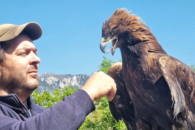 Interactive Path of Birds of Prey - Key Points