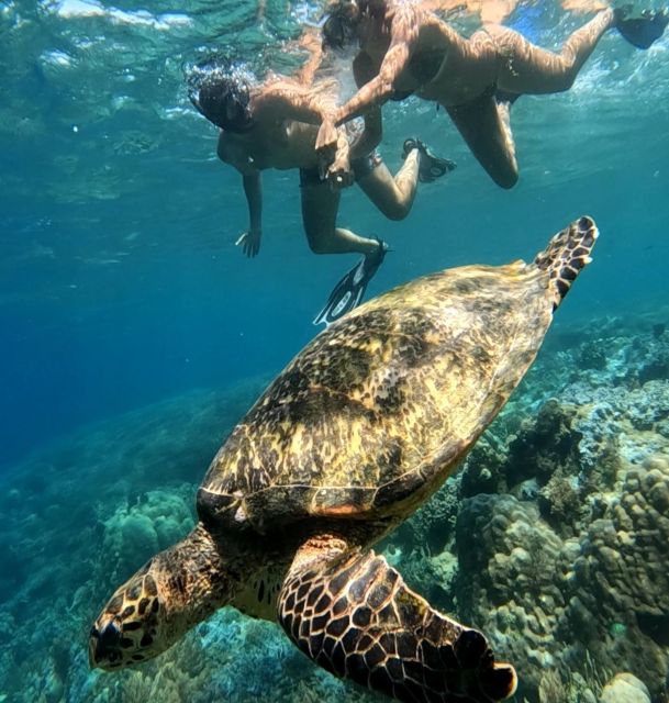 Island Hopping Gili Asahan, Gede, Rengit, Layar & Goleng - Key Points