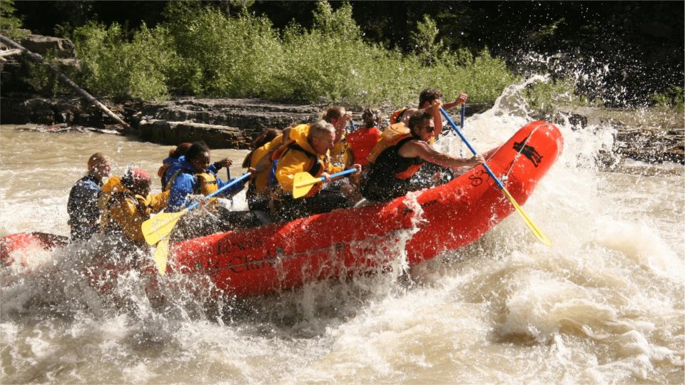 Jackson Hole: Snake River Whitewater Rafting Tour - Key Points