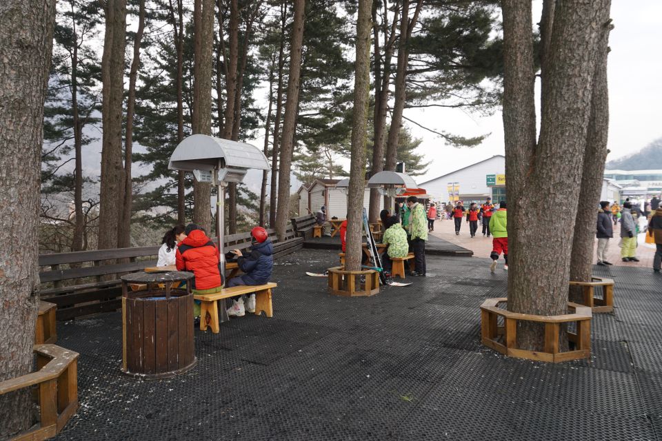 Jisan Forest Resort: Ski Full-Day Tour or Shuttle From Seoul - Key Points