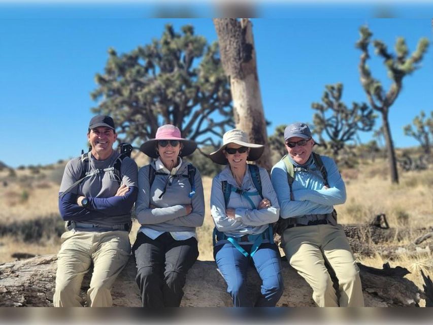 Joshua Tree: Half-Day Private Hike of the National Park - Key Points