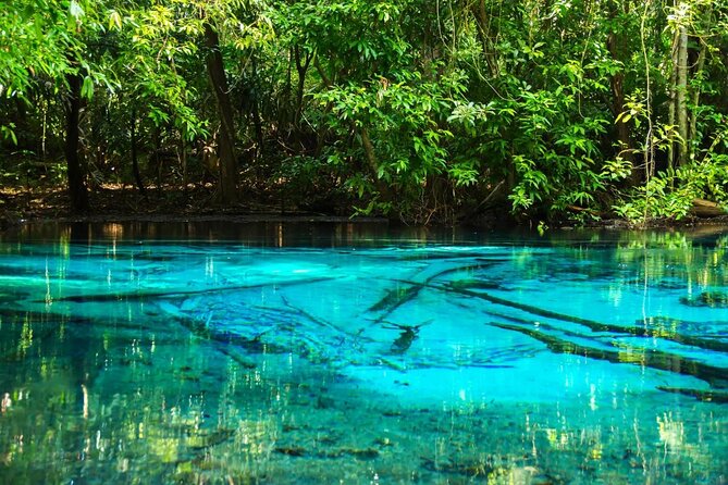Jungle Tour to Emerald Pool, Krabi Hot Spring and Tiger Cave Temple - Key Points
