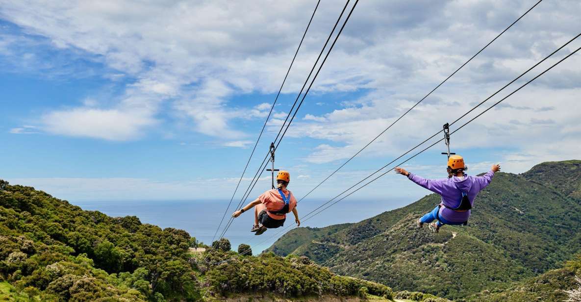 Kaikoura: Zipline and Native Forest Adventure Trip - Key Points