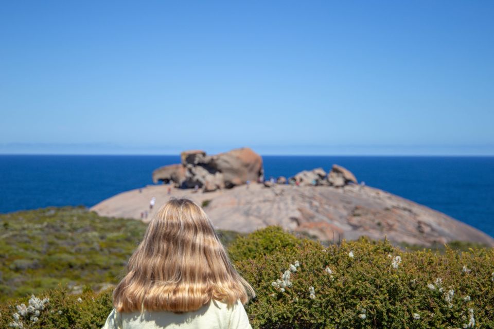 Kangaroo Island Full Day Experience by Ferry Including Lunch - Key Points