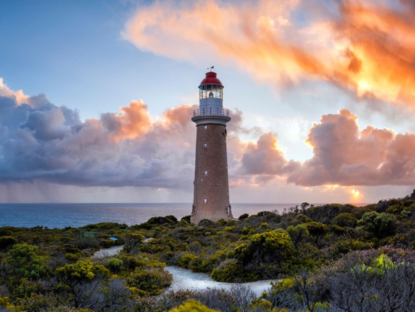 Kangaroo Island Lighthouse, Kangaroos and Wine Tasting - Key Points